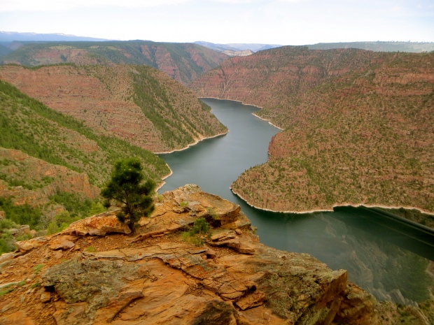 Flaming Gorge Recreation Area/Red Canyon Overlook